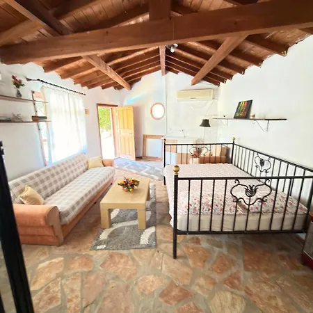 Villa Stone Mansion With Private Pool And Garden And Authentic